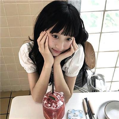 高速路上一只猫